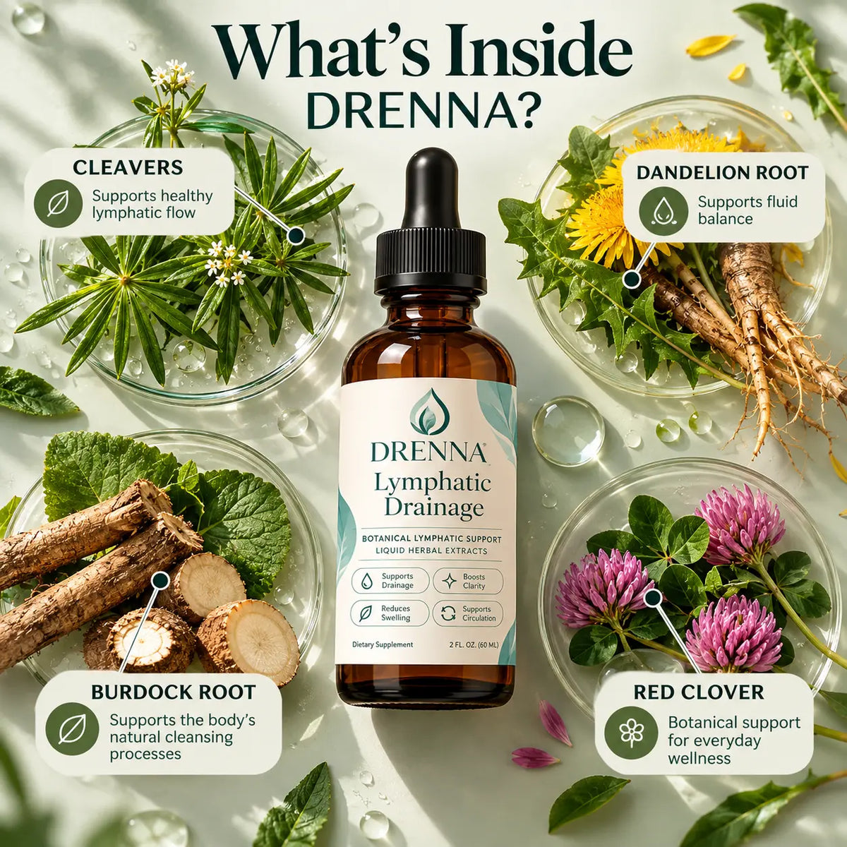 DRENNA – Feel Lighter Every Morning | Lymphatic Drainage Drops